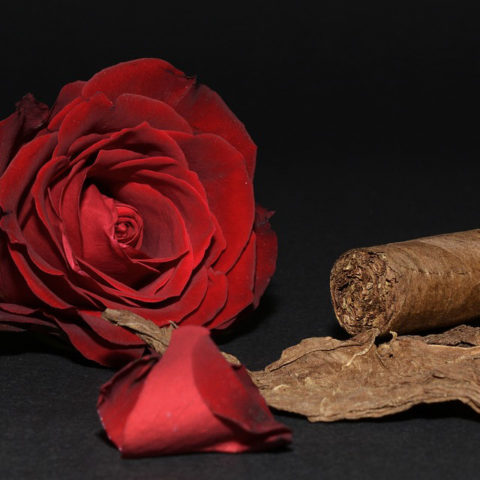 LA CASA DEL TABACO CIGARRO PERFECTO